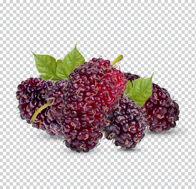 PSD fresh mulberry with leaves isolated permium psd