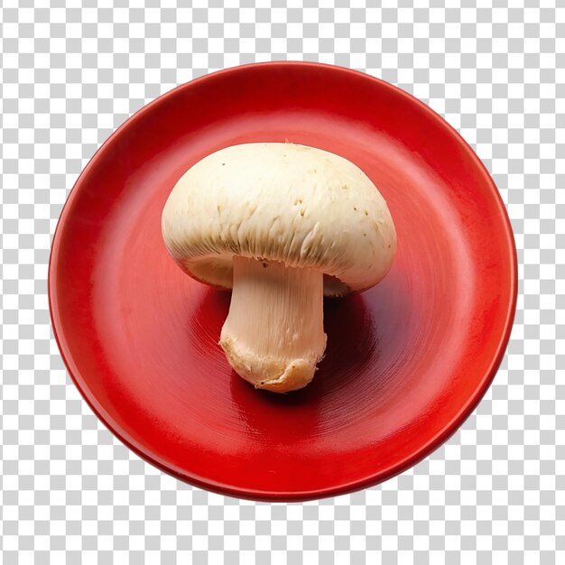 Fresh mushroom on red plate isolated on transparent background