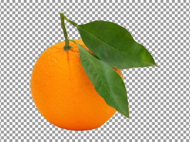 Fresh navel orange with green leaves on transparent background