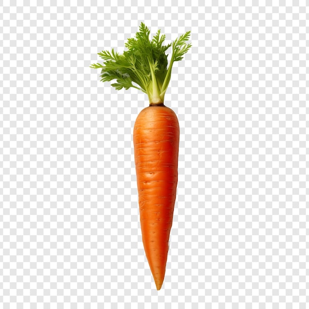 PSD png carota arancione fresca isolato su sfondo trasparente