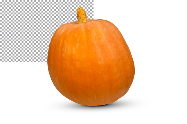 Fresh orange pumpkin isolated on transparent background