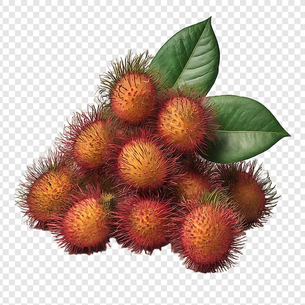 PSD 신선한 유기농 rambutan png은 투명한 배경 프리미엄 psd에 분리됩니다.