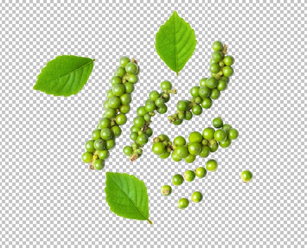 PSD fresh pepper corn with leaves isolated on alpha layer