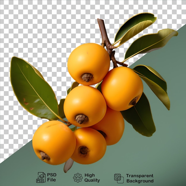 Fresh persimmon with leaves isolated on transparent background include png file