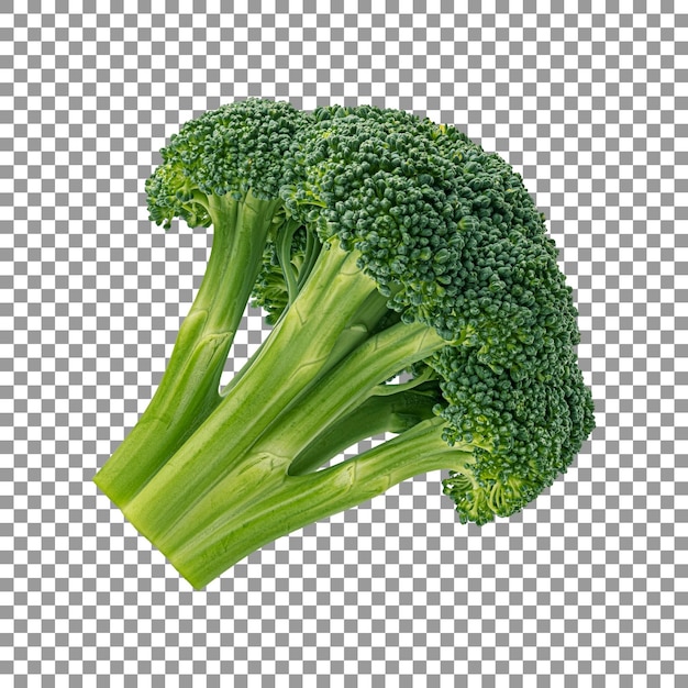 Fresh piece of broccoli with isolated on transparent background