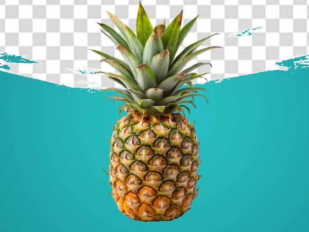 Fresh pineapple isolated