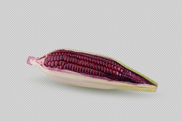 PSD fresh purple corn isolated on a alpha background.