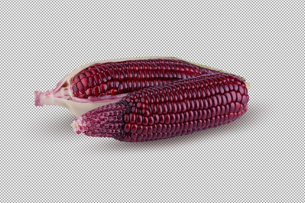 Fresh purple corn isolated on alpha background