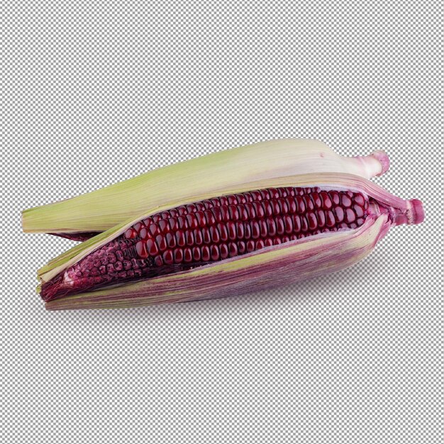 Fresh purple corn isolated on alpha background