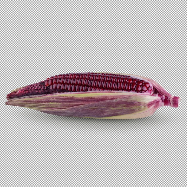 Fresh purple corn isolated on alpha background