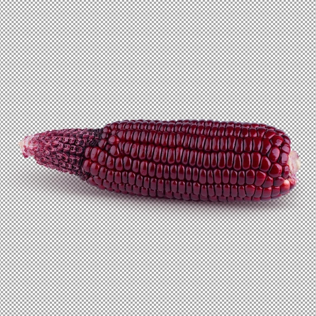 Fresh purple corn isolated on alpha background