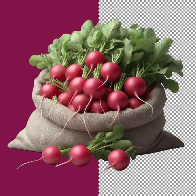 Fresh radish harvest png