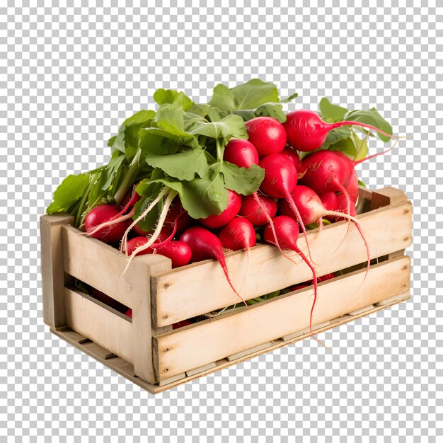 PSD fresh radishes in wooden box isolated on transparent background