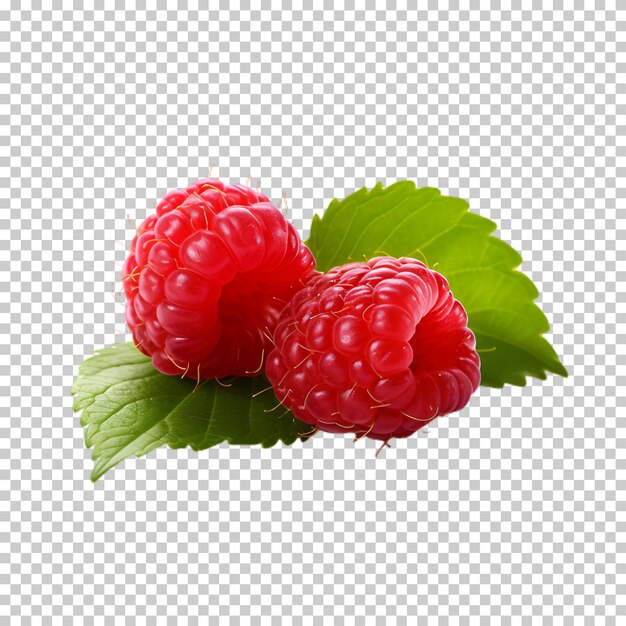 Fresh raspberry isolated on transparent background