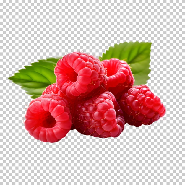 PSD fresh raspberry isolated on transparent background