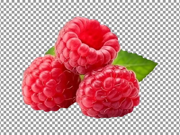 Fresh raspberry pair isolated on transparent background