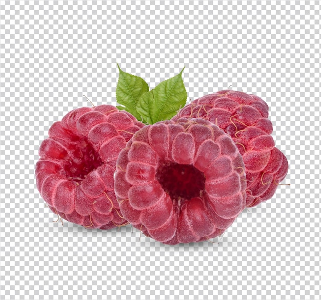 PSD fresh raspberry with leaves isolated premium psd