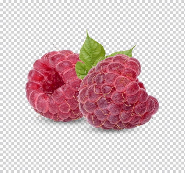 PSD fresh raspberry with leaves isolated premium psd