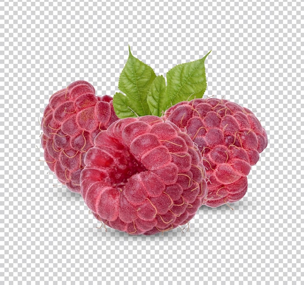 Fresh raspberry with leaves isolated Premium PSD