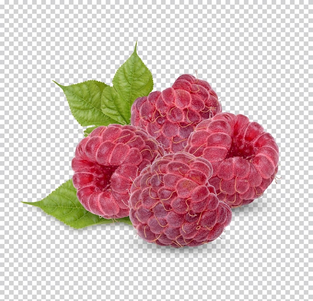 PSD fresh raspberry with leaves isolated premium psd