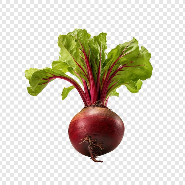 PSD fresh red beet png isolated on transparent background