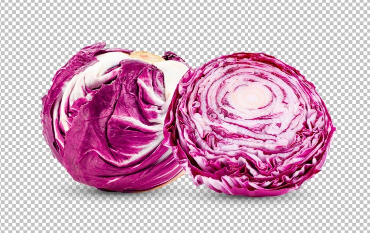 PSD fresh red radicchio isolated on alpha layer