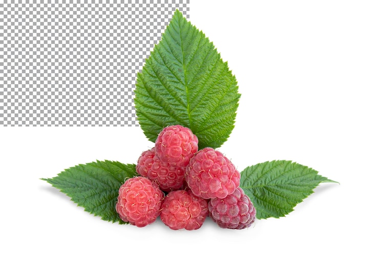 PSD fresh ripe raspberries and green leaves on a transparent background