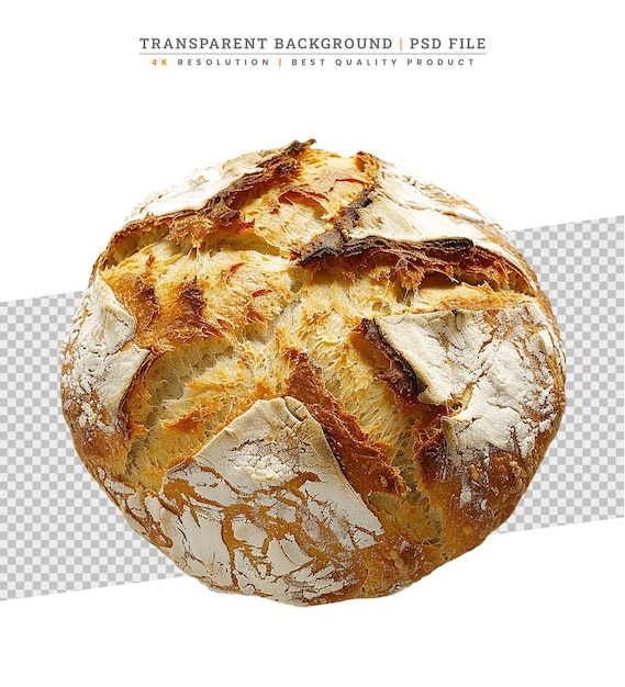 Pane di segale fresco o pane integrale oggetto isolato su sfondo bianco