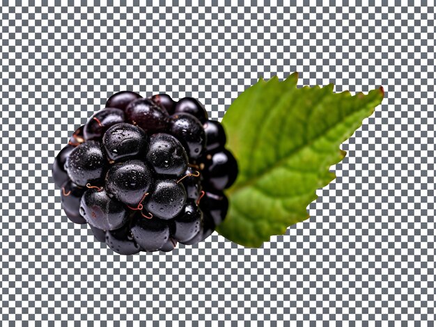 PSD fresh single black raspberry with leaf isolated on transparent background