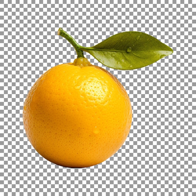 투명 배경에 고립 된 신선한 단일 오렌지 과일