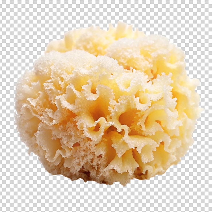 PSD 新鲜的雪或tremella fuciformis 孤立的白色背景