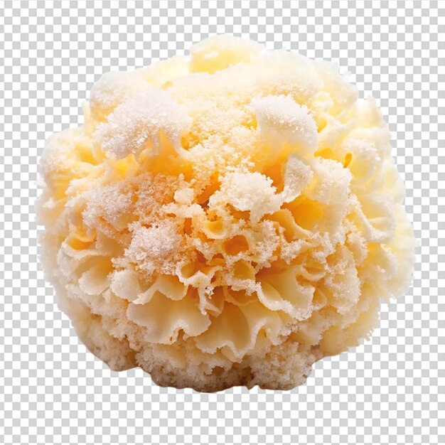 fresh snow fungus or tremella fuciformis isolated white background