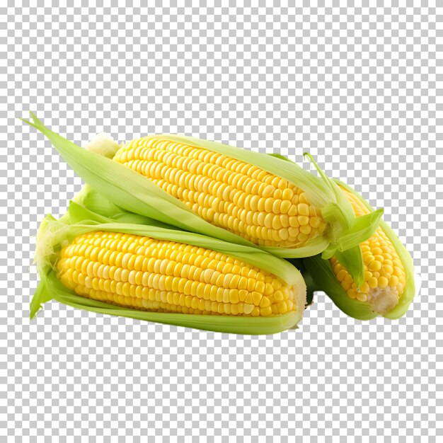fresh sweetcorn png on white and transparent background