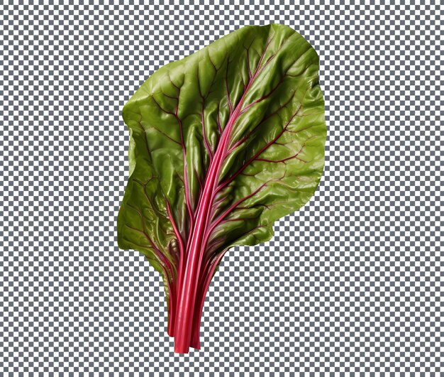 PSD fresh swiss chard isolated on transparent background