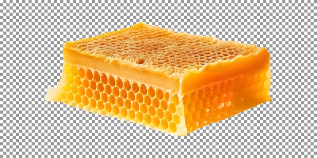 Fresh tasty honey coms isolated on transparent background