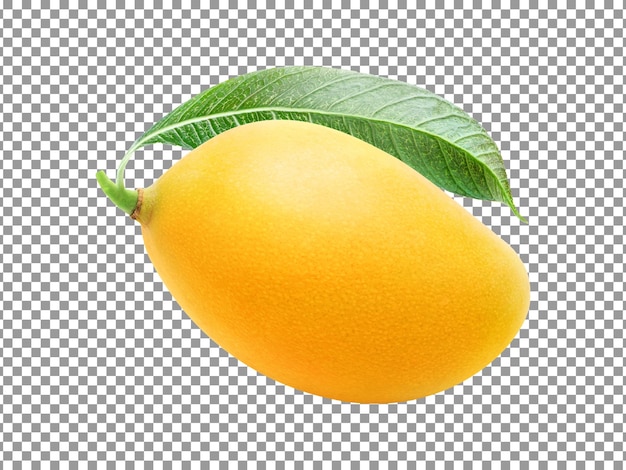 PSD fresh tasty mango fruit with a leaf on transparent background