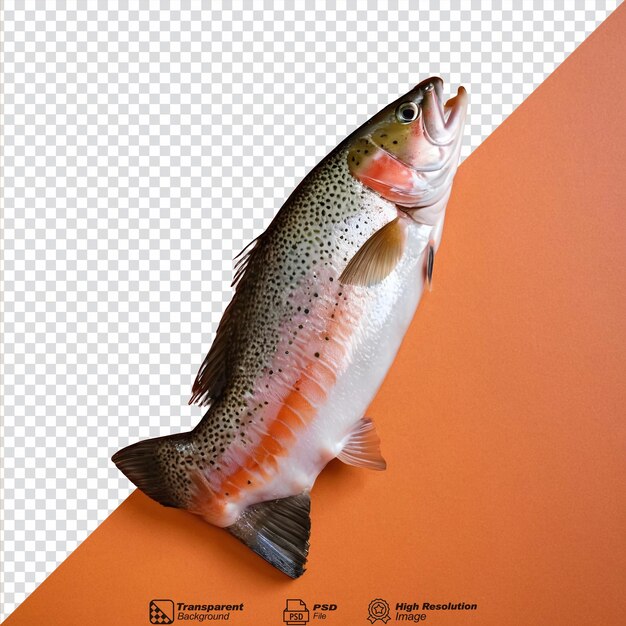 PSD of a fresh trout fillet isolated