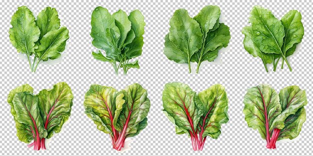 PSD fresh vegetables artificial intelligence generative