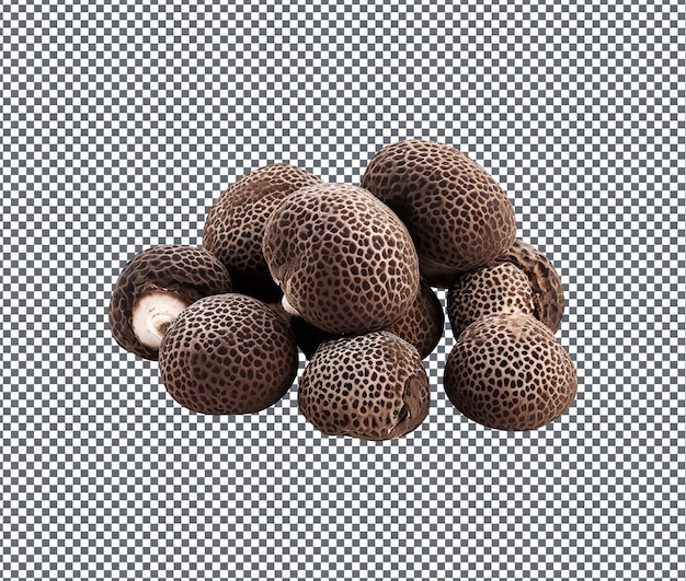 Fresh and Yummy Truffles Rare isolated on transparent background
