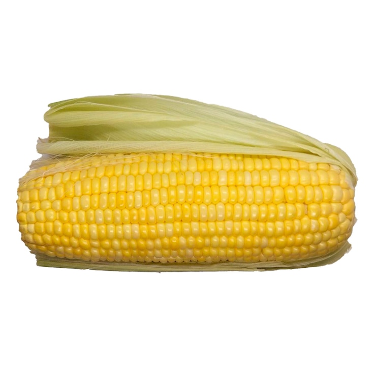 PSD 新しく収された黄金のトウモロコシは,健康的で美味しい野菜です.