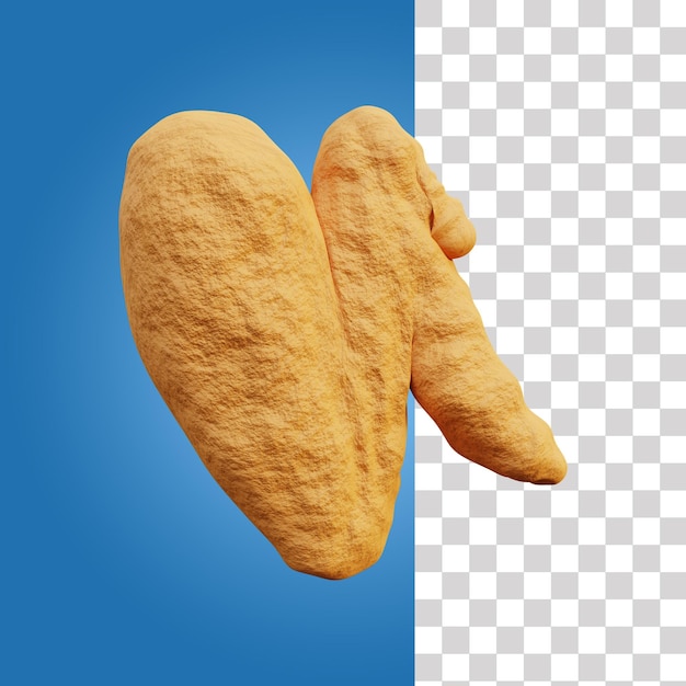 Fried wings 3d icon