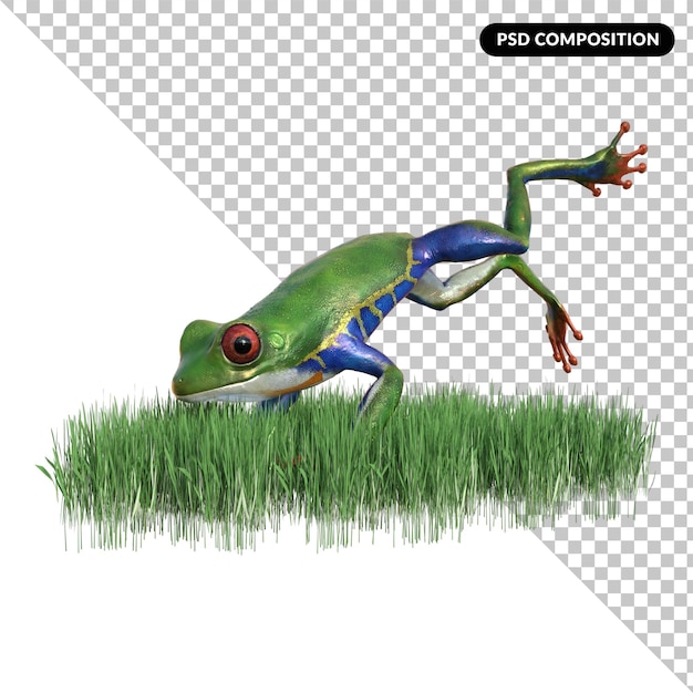 PSD frog animal isolated 3d