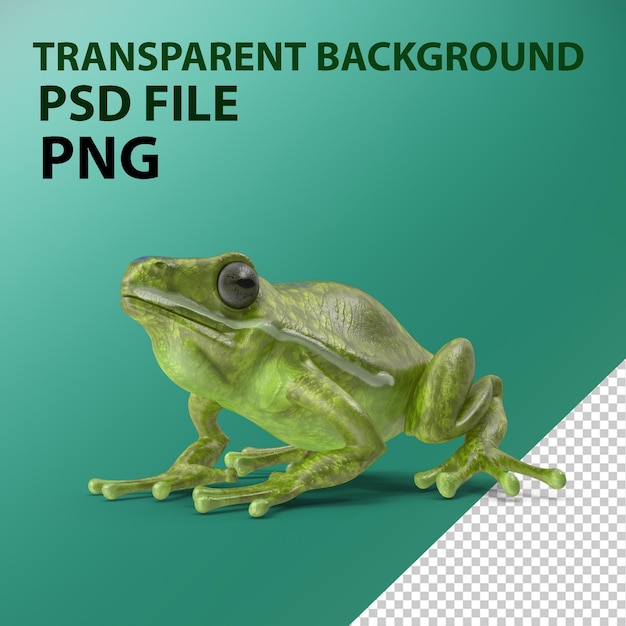 PSD frog png