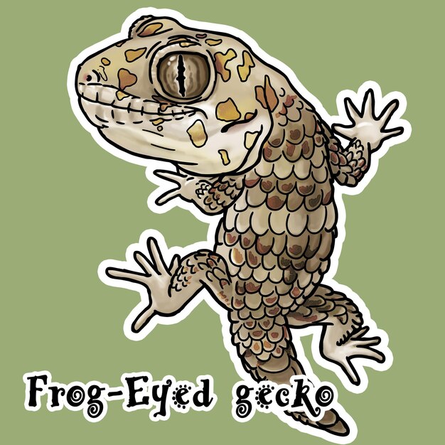 PSD frogeyed gecko