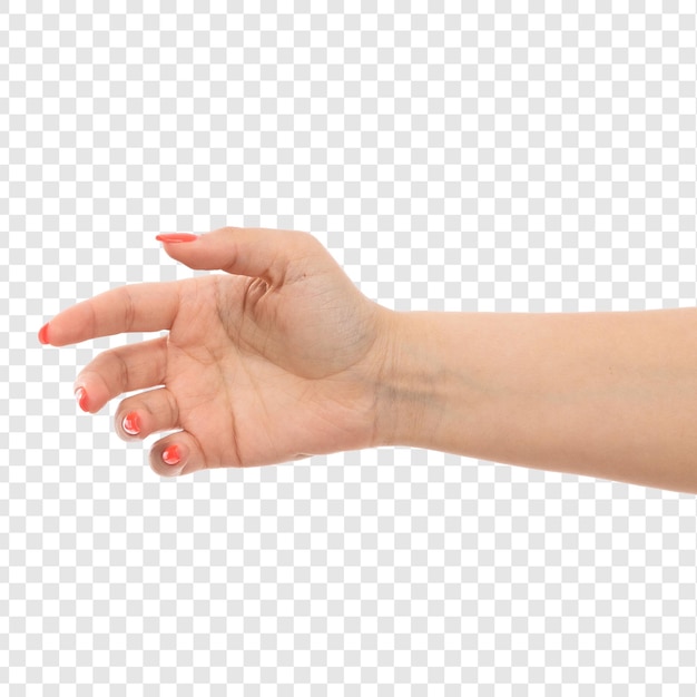 a front view female hand with colored nails with raised isolated on transparent background