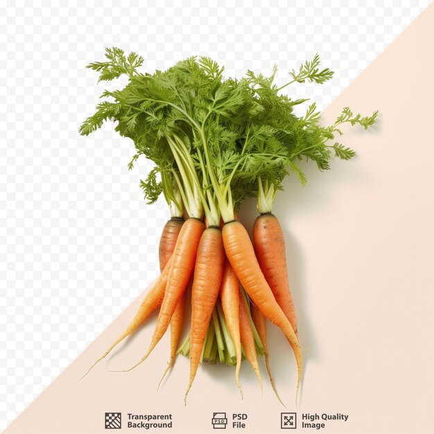 PSD front view of freshly isolated carrots on a transparent background