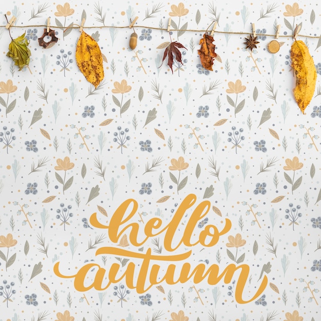 front view of hello autumn and leaves