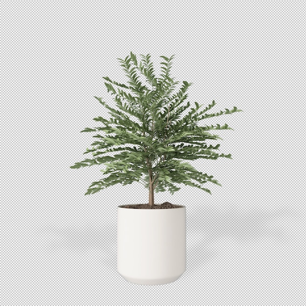 3 dレンダリングで鍋に植物の正面図