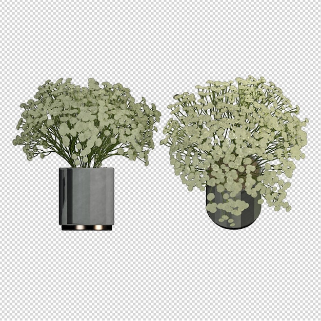 PSD 3d 렌더링에 냄비에 식물의 전면 모습