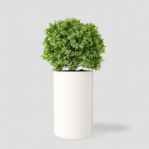 3 dレンダリングで鍋に植物の正面図